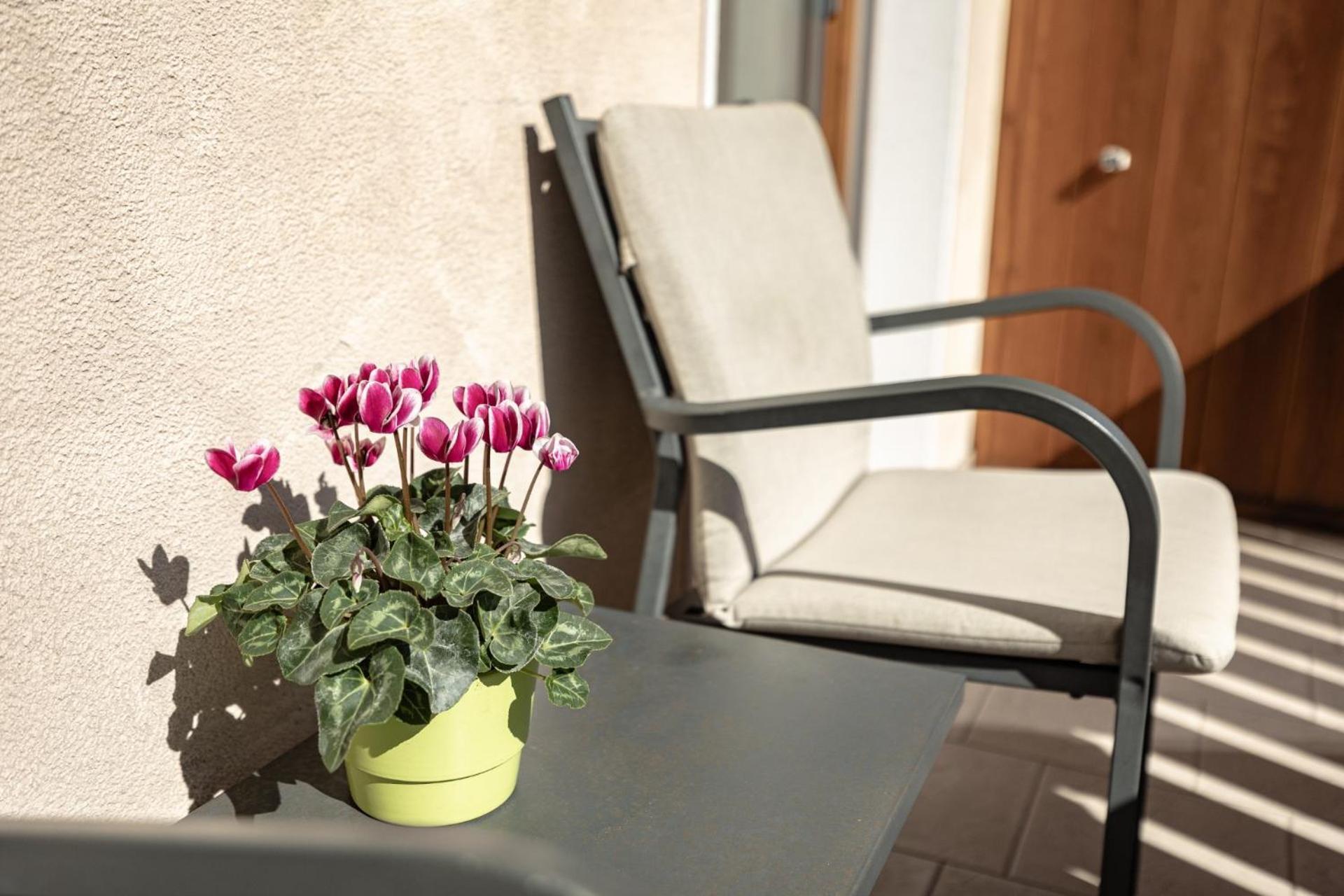 Santa Cristina Val Gardena Apartments Soval מראה חיצוני תמונה
