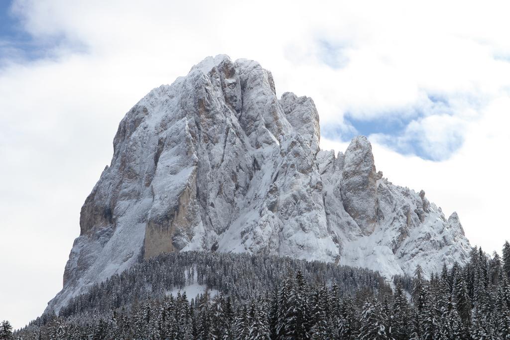 Santa Cristina Val Gardena Apartments Soval מראה חיצוני תמונה